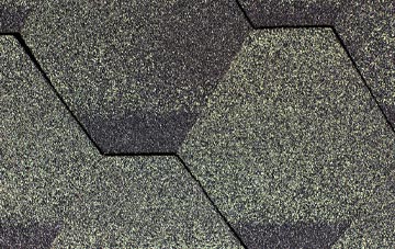 Abbotsham fibreglass shingle repairs