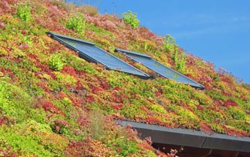 Abbotsham living roof systems