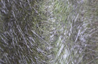 Abbotsham fibreglass roof work